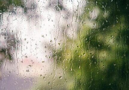 Condensation on a window